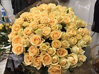 Персиковые